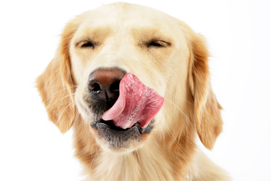 Stresses of Lip Licking: A Curious Dermatitis
